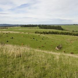 Telford farm view 1