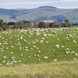 Telford farm view 6