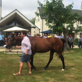 2017 Reunion DipAgSci 1967 332