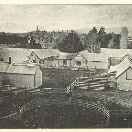 1906 Farm Buildings Canterbury Agricultural College