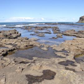 Curio Bay Catlins 25