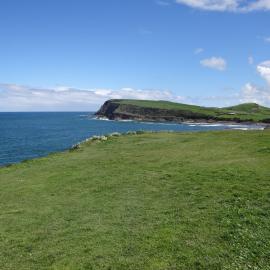 Curio Bay Catlins facing south 1