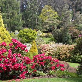 Maple Glen Gardens 06