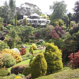 Maple Glen Gardens 10