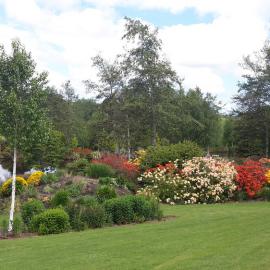 Maple Glen Gardens 20