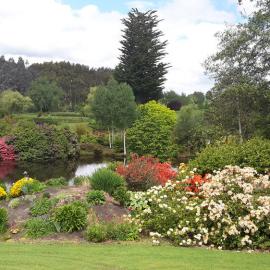 Maple Glen Gardens 21