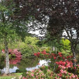 Maple Glen Gardens 22