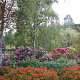 Maple Glen Gardens 23