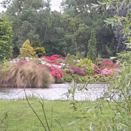 Maple Glen Gardens 24