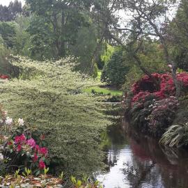 Maple Glen Gardens 26