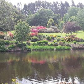 Maple Glen Gardens 27