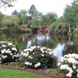 Maple Glen Gardens 28