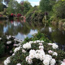 Maple Glen Gardens 29