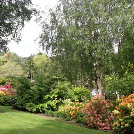 Maple Glen Gardens 30