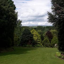 Maple Glen Gardens 31