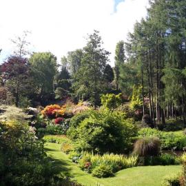 Maple Glen Gardens 35