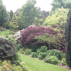 Maple Glen Gardens 41