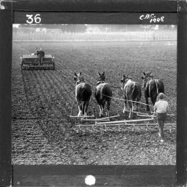 NZ Agriculture Slides-1948-49_036