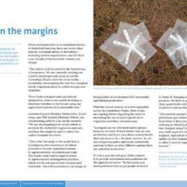 Carbon on the margins