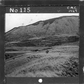 NZ Agriculture Slides-1948-49_115