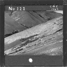 NZ Agriculture Slides-1948-49_121