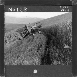 NZ Agriculture Slides-1948-49_126