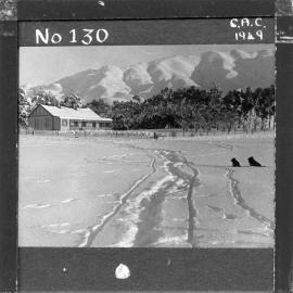 NZ Agriculture Slides-1948-49_130