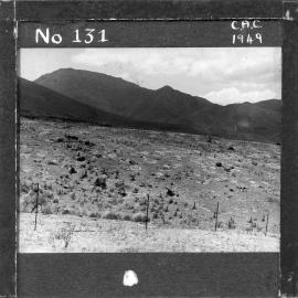 NZ Agriculture Slides-1948-49_131