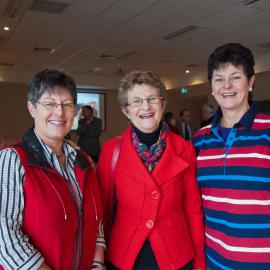 2012 Bledisloe Address 13