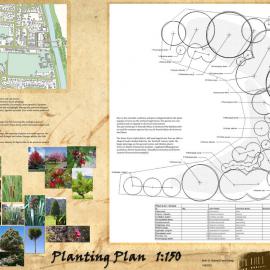 Ngatea Development Plan P5 Planting Plan