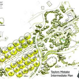 Taylors Mistake Development Plan P3 Intermediate Plan
