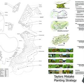 Taylors Mistake Development Plan P6 Planting Strategy