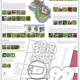 Ferrymead – A Fusion of the Urban and Ecological P7 Vegetation