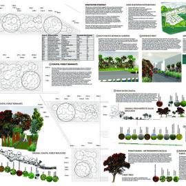 Waitemata Te Matamata Atea P6 Vegetation Strategy