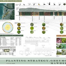 Greymouth-Mawhera P7 Planting Strategy