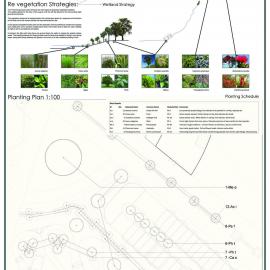Healing the scars-Three Kings Quarry P6 Plant Strategy