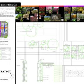Rejuvenation of Bishopdale Mall P7 Planting Strategy and Plan