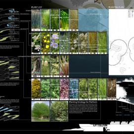 Lyttelton Coastline Revitalisation P7 Planting Strategy and Plan