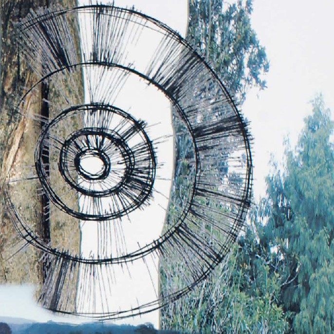 Restore the Mauri and Reveal the Maunga - Mark Teesdale