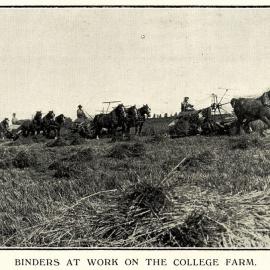 Binders on the College Farm