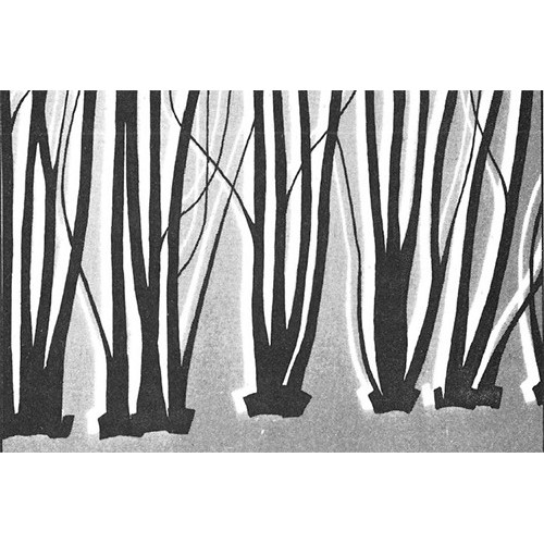 The Brandenburg Coppice