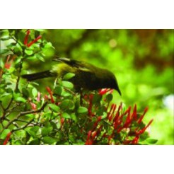 Extension and Outreach