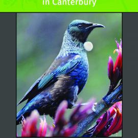2014 
Backyard Biodiversity