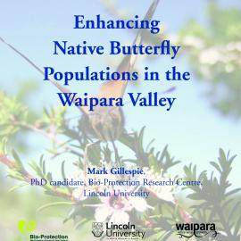 Enhancing native butterfly populations in the Waipara Valley