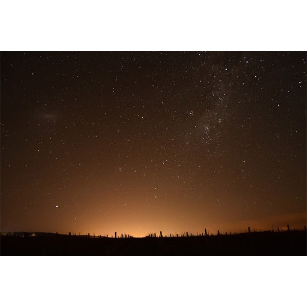 2015 Field Tour: Coast/Koukoraurata