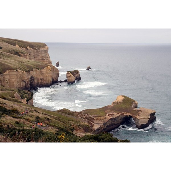 2016 Field Tour: Dunedin