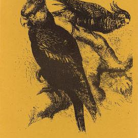 Cockie's Crib - Handbook for the College's cottage No 585