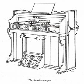 American Organ