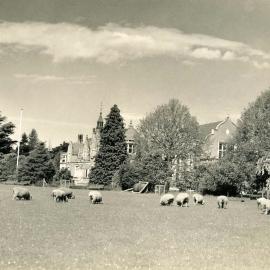 1940s Ivey Hall and Memorial Hall 
Canterbury Agricultural College 