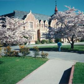 Late 1980s Ivey Hall with blossom trees 